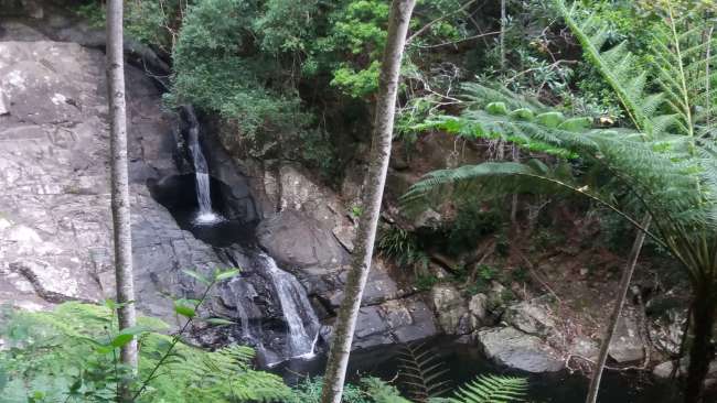 Mount Cougal - schon eher ein Rock Pool