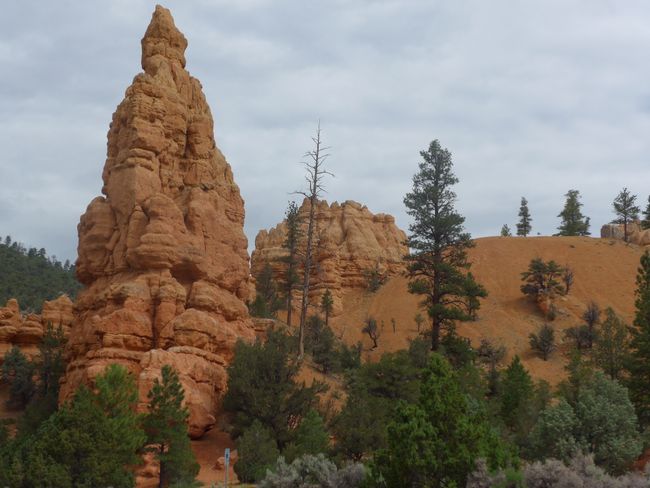 Zion and Bryce Canyon NP (Road trip western USA part 4)