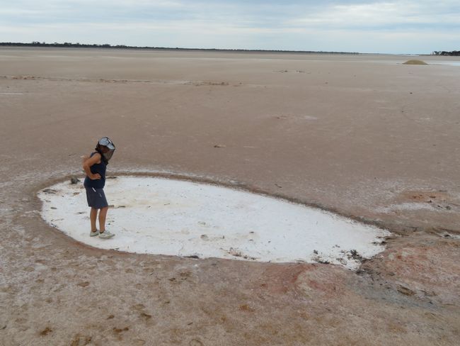 Salzkruste auf dem Lake Johnston