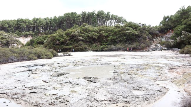 Tag 9 Wai-O-Tapu Thermal Wonderland