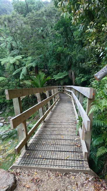 Wainui Falls Walkway