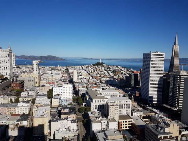 From the 36th floor of our hotel you have this fantastic all-round view of San Francisco