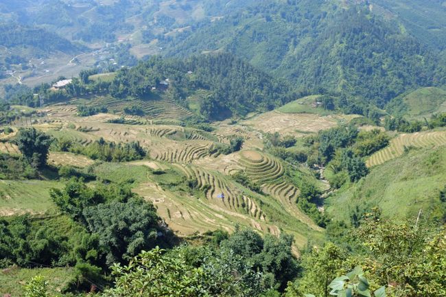No matter where we go: rice terraces as far as the eye can see