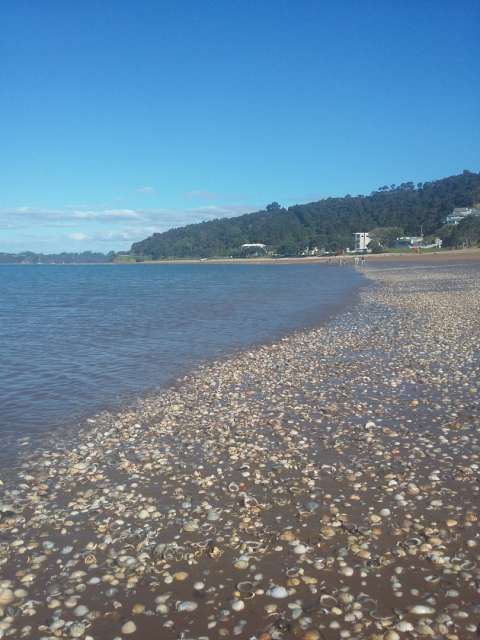 Mussel beach