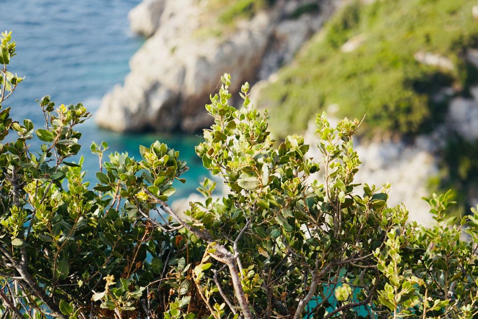 Afionas und Porto Timoni