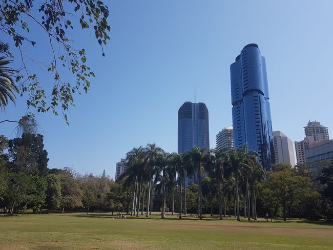 Botanic Garden - Brisbane 
