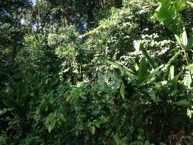 Costa Rica vacation
