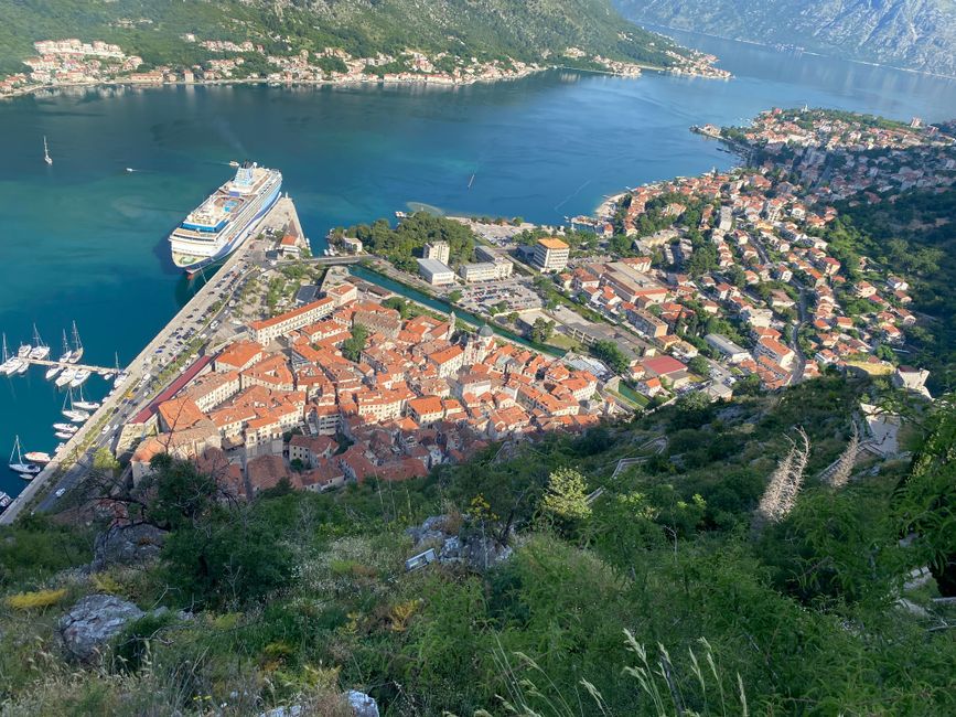 View of Kotor Old Town