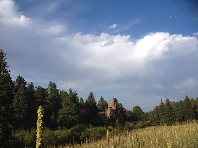 Jour 6 : Buffalo Creek