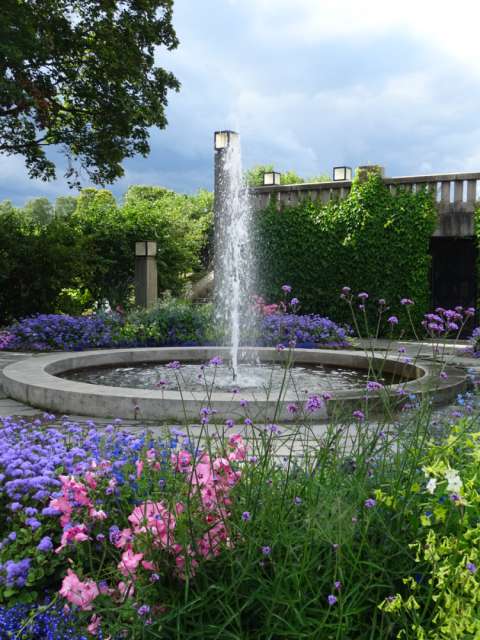 Vigeland Park flowers