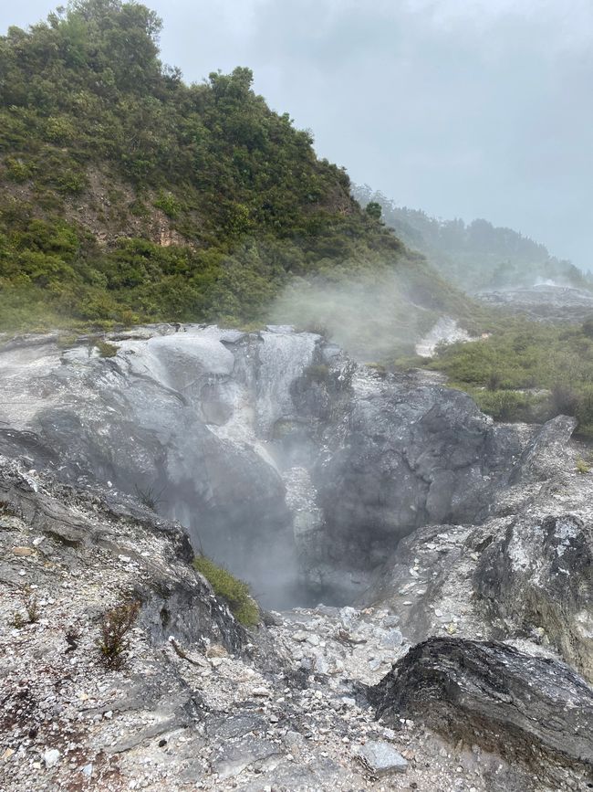 Geothermal area in Te Puia