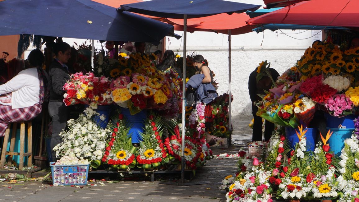 Flower market of Cuenca