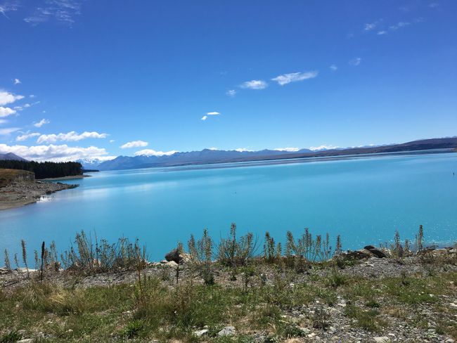 Lake Pukaki, kann ein See sooooo tolles Wasser haben?