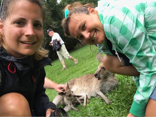 Australia Zoo - Wer kennt ihn noch, den Crocodile Hunter: Steve Irwin