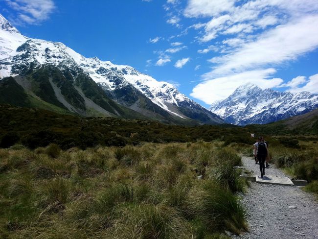 Wellington, Lord of the Rings Tour and the rugged wilderness on the South Island