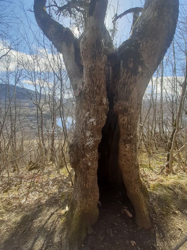 Wanderung bei Vossevangen