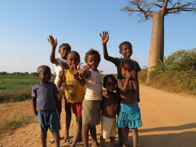 Fahrt durch die Baobab Landschaft bis zum Kirindy Wald