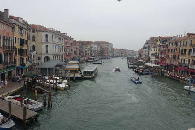 Venedig und 100 Mückenstiche später