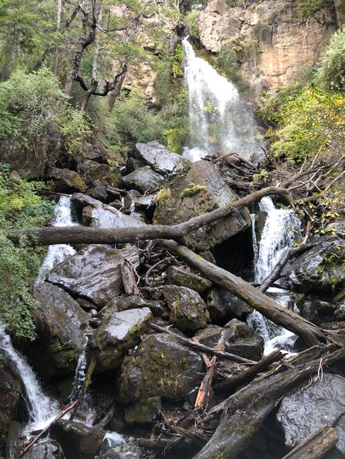 Fünfunddreißigster Tag: Esquel , Trevelin und Nationalpark Los  Alerces (15. Mai 2019)