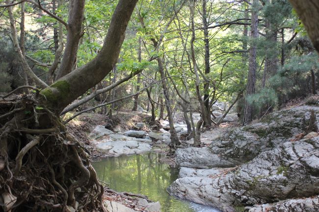 26.08.2018 - Ruins of Limenas, Kastro, Waterfalls of Maries Part 2