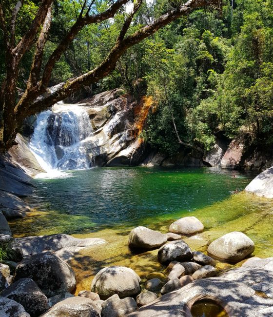 Cairns: Reënwoud en Watervalle
