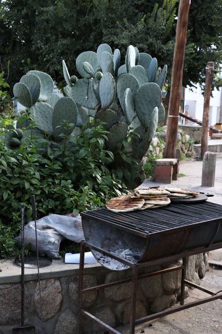 You can buy freshly baked tortillas on every corner