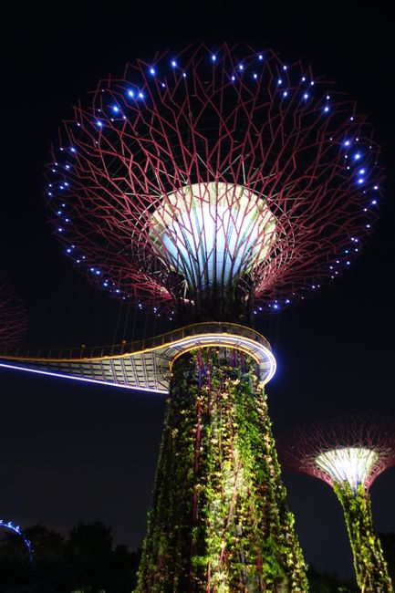 Light show on the Supertrees