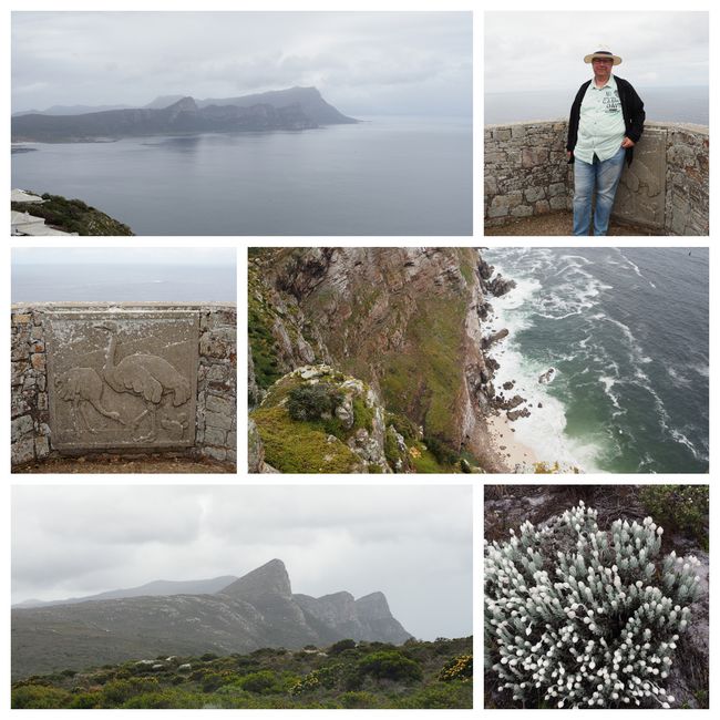 A trip to Cape of Good Hope