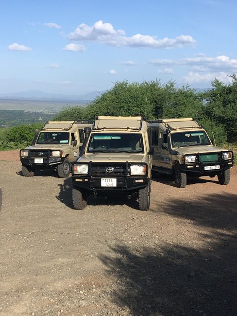 Our jeeps for the safari