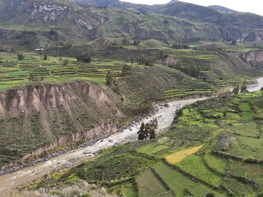 Arequipa / Colca Valley