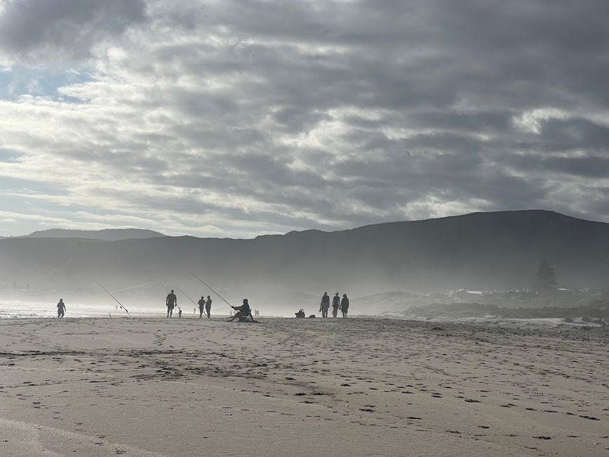 Hermanus ♥️