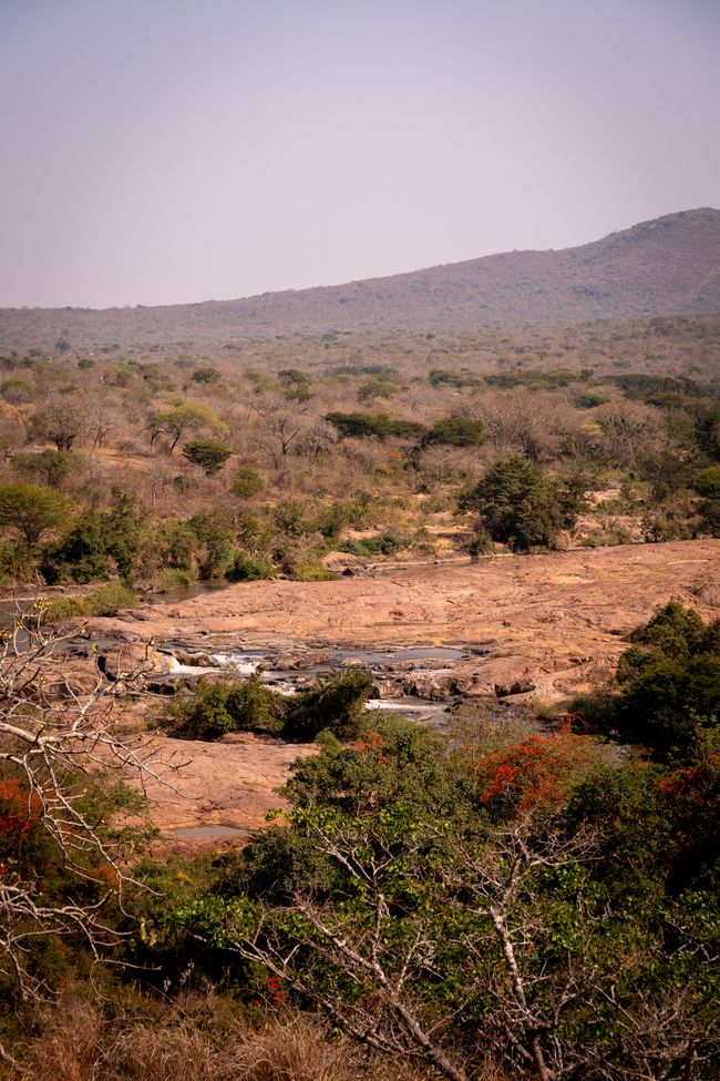 Mbuluzi Game Reserve (Swati)