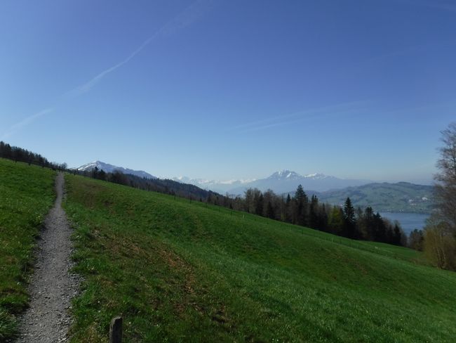 At the Zugerberg - view of Rigi (left) and Pilatus (right)