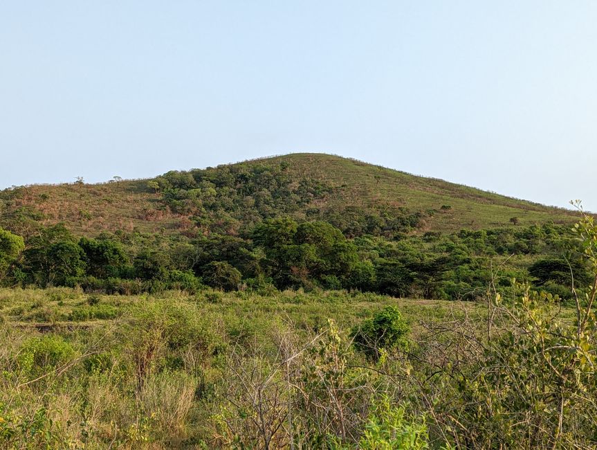 Hluhluwe-Imfolozi-Nationalparks