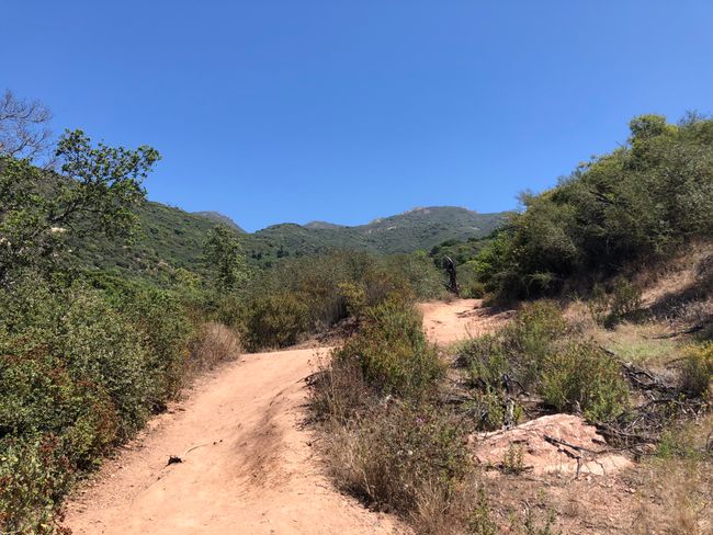 Day 8 - Rattlesnake Trail