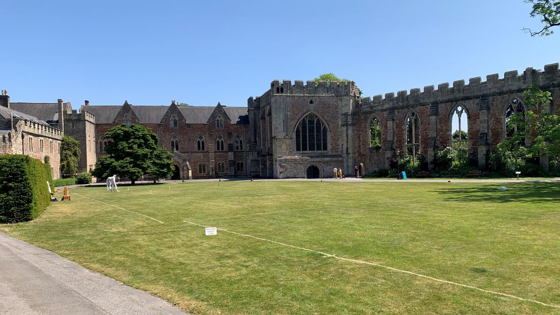 Wells: The Palace Croquet Club Players