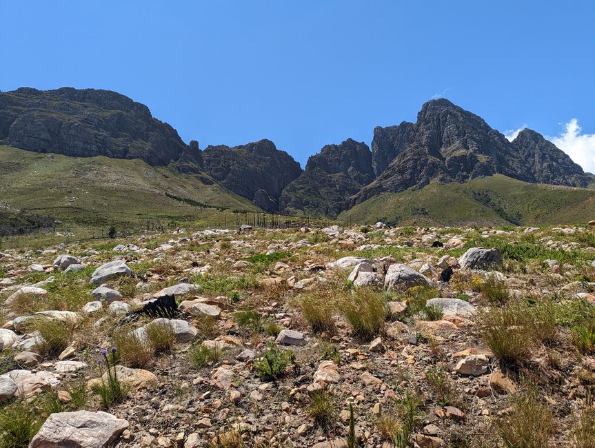 Biken im Jonkershoek Nature Reserve