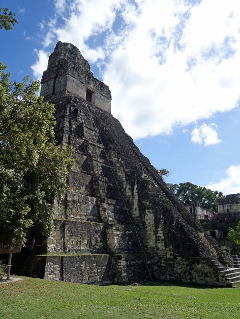 Szenenwechsel: die Jaguarpyramide in Tikal.