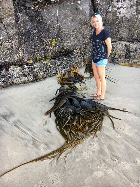 looks a little gross, the seaweed