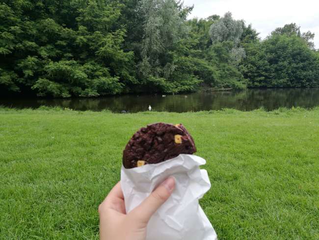 With (normal, but delicious) cookie in Vondelpark