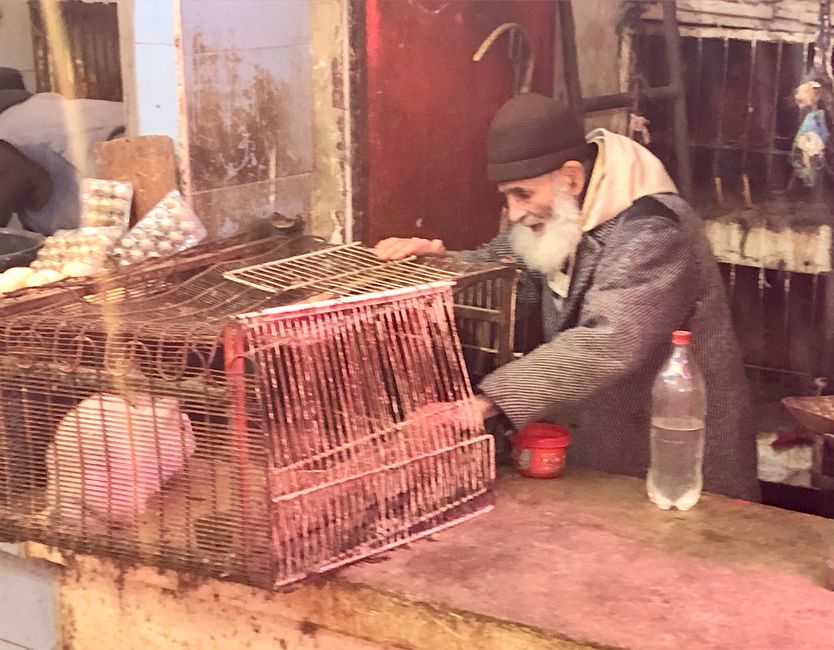 Ein Händler mit seinem letzten Kaninchen.