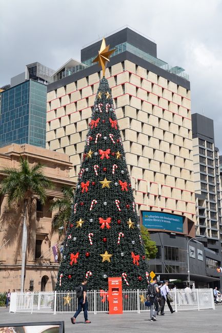 Christmas tree at King George Square
