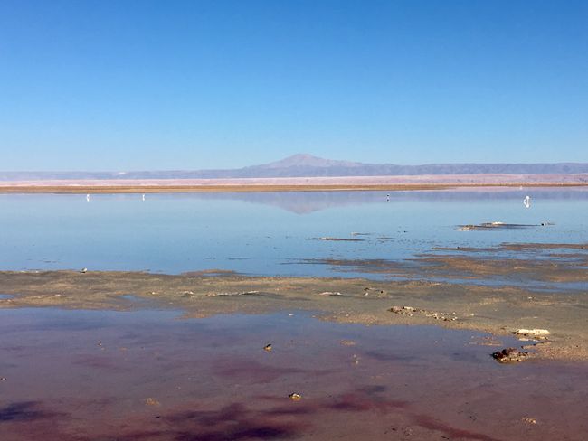 Piedras Rojas, San Pedro de Atacama 