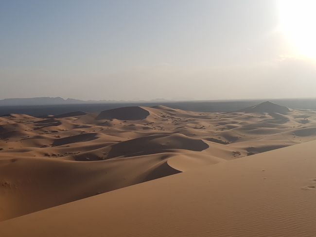 Sahara Wüste 
