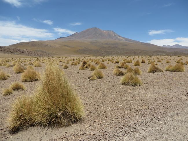 Salar de Uyuni