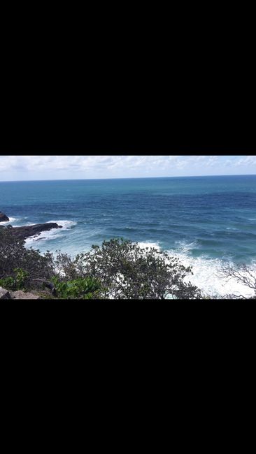 Noosa - beautiful National park, baaaad sunburn