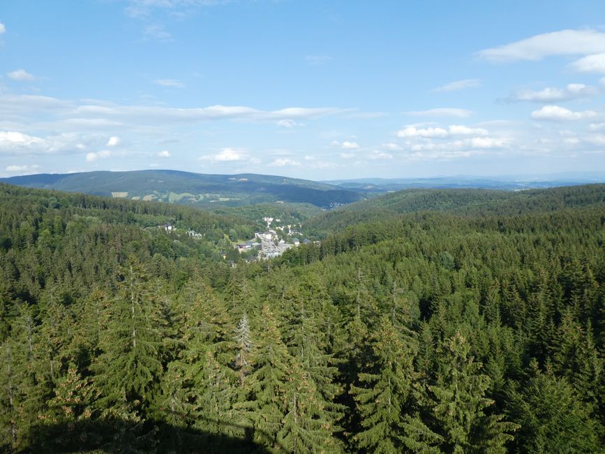 On the Sněžka mountain and in the treetops (Sněžka and Krkonoše)