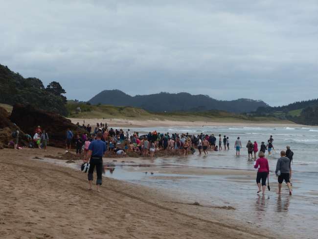 Menschenauflauf am Hot Water Beach