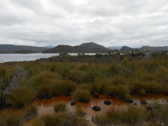 Tasmania or my last road trip in Australia