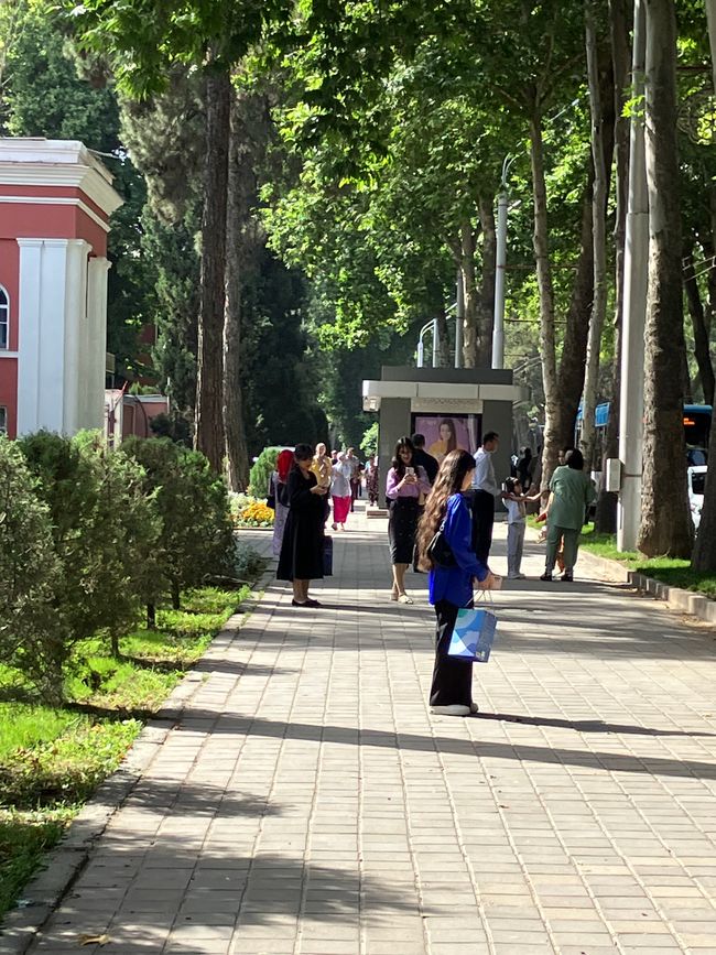 Last weeks in Dushanbe